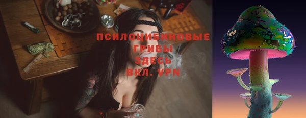 ГАЛЛЮЦИНОГЕННЫЕ ГРИБЫ Алексин